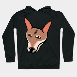 Funny print with a tired dog Hoodie